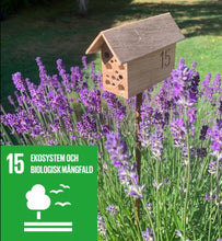 Ladda upp bild till gallerivisning, Smart Form Sweden, Robert Bengtsson, INSEKTSHYTTEN, Svensk ek, biologisk mångfald, trädgårdsinspiration