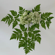 Ladda upp bild till gallerivisning, Smart Form Sweden, System LEVEL, Robert Bengtsson, Level Mini betong, betong, bordsdekoration