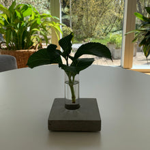 Ladda upp bild till gallerivisning, Smart Form Sweden, System LEVEL, Robert Bengtsson, Level Mini betong, betong, bordsdekoration