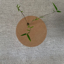 Ladda upp bild till gallerivisning, Smart Form Sweden, Robert Bengtsson, Pelarbord, Kork, ek, litet bord, bord, hållbar design, flat pack, svensk design, svensk tillverkning, hantverk, cylindervas, sidobord, soffbord