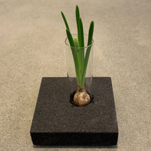 Ladda upp bild till gallerivisning, Set LEVEL Mini kork, LEVEL Mini kork, System LEVEL, bordsdekoration, Smart Form Sweden, Robert Bengtsson, kork, vas, växter i inredningen, förnybart material, svart kork