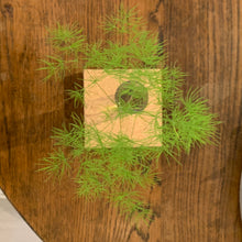 Ladda upp bild till gallerivisning, Set LEVEL Mini kork, LEVEL Mini kork, System LEVEL, bordsdekoration, Smart Form Sweden, Robert Bengtsson, kork, vas, växter i inredningen, förnybart material