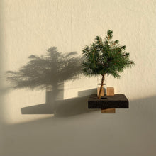 Ladda upp bild till gallerivisning, Embrace konsolsystem, Smart Form Sweden, Robert Bengtsson, konsolhylla, svensk ek, kork