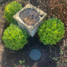 Ladda upp bild till gallerivisning, Trampsten, stegsten, betong, trädgårdsdekoration, trädgårdsdesign, kalkfärg, dark forest, trädgårdspresent