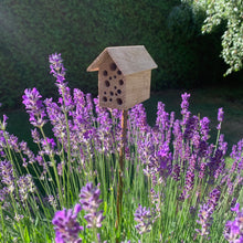 Ladda upp bild till gallerivisning, INSEKTSHYTTEN, Smart Form Sweden, Robert Bengtsson, Svensk ek, svenskt hantverk, svensk design,biologisk mångfald, insektshotell, insekt